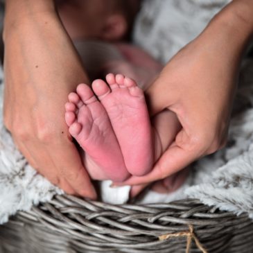 Babywearing e allattamento – 5 novembre ore 17